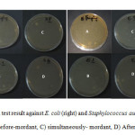 Figure 10: Antibacterial test result against E. coli (right) and Staphylococcus aureus (left) A) untreated wool B) Before-mordant, C) simultaneously- mordant, D) After- mordant