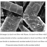Figure 6: SEM images (a) dyed wool fiber with Thyme, (b) dyed wool fibers with Thyme and 6%nanozirconium dioxide in before -mordant method (c) dyed wool fibers with Thyme and 6%nanozirconium dioxide in simultaneously-mordant method (d) dyed wool fibers with Thyme and 6%nanozirconium dioxide in after-mordant method.