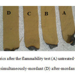 Figure 9: Images of wool fabrics after the flammability test (A) untreated wool, (B) Before-mordant, (C) simultaneously-mordant (D) after-mordant