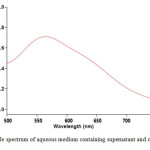 Fig. 1) UV–visible spectrum of aqueous medium containing supernatant and copper ion (1 mM)