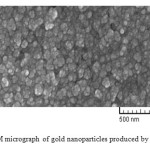Fig.3. SEM micrograph of gold nanoparticles produced by dextrose