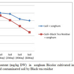 Figure 5- Copper content (mg/kg DW)  in  sorghum Bicolor cultivated in contaminated soil in comparion to treated contaminated soil by Black tea residue