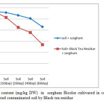 Figure 6- Nickel content (mg/kg DW)  in  sorghum Bicolor cultivated in contaminated soil in comparion to treated contaminated soil by Black tea residue