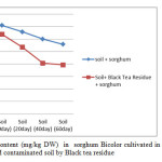 Figure 7- Chrome content (mg/kg DW)  in  sorghum Bicolor cultivated in contaminated soil in comparion to treated contaminated soil by Black tea residue