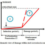 Fig. 1. Schematic view of damage within steel corrosion in concrete [1]