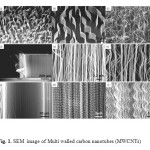 Fig. 1. SEM  image of Multi walled carbon nanotubes (MWCNTs)