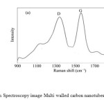 Fig. 2. Raman Spectroscopy image Multi walled carbon nanotubes (MWCNTs).