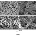 Fig. 3: SEM images of pure hematite ( (a)  in type-1  and (b)  in type-II water )  and goethite ((c)  in type-1  and (d)  in type-II water).   Hematite crystals are small platelets with some diamond shaped. Acicular goethite crystals (c & d) cut perpendicular to the needle axis.