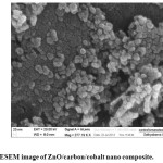 Fig.  3. FESEM image of ZnO/carbon/cobalt nano composite.
