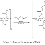 Scheme 1: Route of the synthesis of CMA