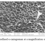 Fig. 8: SEM micrograph of semi-refined κ-carrageenan at a magnification of 633x and the scale bar is 20 µm.