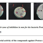 Figure1: Antibacterial activity of the compounds against Proteus mirabilis