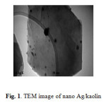 Fig. 1. TEM image of nano Ag/kaolin