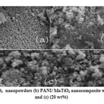 Fig. 3: SEM images of (a) MnTiO3  nanopowders (b) PANI/ MnTiO3 nanocomposite with MnTiO3 content of (10 wt%) and (c) (20 wt%)