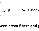 Scheme 2. Reaction between areca fibers and potassium permanganate