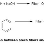 Scheme 3. Reaction between areca fibers and benzoyl chloride