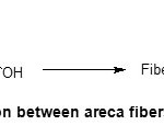 Scheme 4. Reaction between areca fibers and acrylic acid