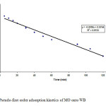 Fig. 8. Pseudo-first order adsorption kinetics of MO onto WB