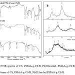 Figure 1. (A) FTIR spectra of CS, PMAA-g-CS/B, Pb(II)loaded- PMAA-g-CS/B. (B) X-ray diffraction patterns of CS, PMAA-g-CS/B, Pb(II)loaded PMAA-g-CS/B.