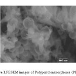 Figure 1.FESEM images of Polyperrolenanospheres (PPyNs)