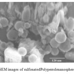 Figure 2.FESEM images of sulfonatedPolyperrolenanospheres (SPPyNs)