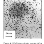 Figure 1. SEM-image of gold nanoparticles