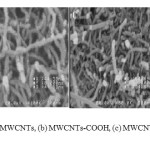 Fig. 1. FE-SEM images of (a) MWCNTs, (b) MWCNTs-COOH, (c) MWCNTs-2EG, (d) MWCNTs-2EG- Ima.