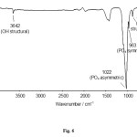 Fig. 6:FTIR spectrum hydroxyapatite of cockle shellsat 140oC for 16 h.