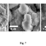 Fig. 7:SEM image of hydroxyapatite compound of cockle shells’ PCC.
