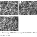Figure 1. SEM micrograph of ENR/PVC aerogels prepared with ENR/PVC to THF ratio of a) 1:7, b) 1:10 and c) 1:20 (w/v).
