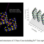 Fig 1: the optimized structures of 3 Nano Cone including Fe3+ Ion capturing.
