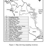 Figure 1: Map showing sampling locations on the east coast of Peninsular Malaysia