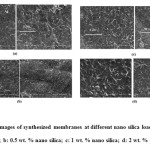 Fig. 2: SEM images of synthesized membranes at different nano silica loadings. a: pure polyamide; b: 0.5 wt. % nano silica; c: 1 wt. % nano silica; d: 2 wt. % nano silica.