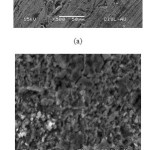 Figure 7:  SEM images of brass surface after 6 h immersion in 0.1N H3PO4 in the absence (a) and presence (b) of SWE