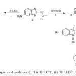 Scheme 2. Reagents and conditions: (i).TEA,THF,OOC; (ii). THF,EDCI,HOBt,TEA.