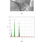 Fig. 2. (a) SEM images and (b) EDX spectra of tobermorite produced by hydrothermal treatment at 175 °C for 24 h.