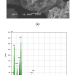 Fig. 4. (a) SEM images and (b) EDX spectra of the zeolite P2 sample after purification