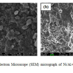 Figure 4: Scanning Electron Microscope (SEM) micrograph of Ni/Al-CO3 before (a) and after (b) adsorption studies.