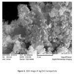 Figure 4. SEM image of Ag/ZnO nanoparticle