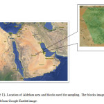 (Figure 1). Location of Aldelam area and blocks used for sampling. The blocks image was obtained from Google Earth® image.