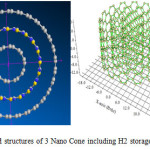 Fig 1: the optimized structures of 3 Nano Cone including H2 storage.