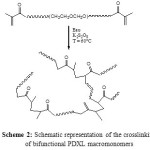 Scheme 2: Schematic representation of the crosslinking of bifunctional PDXL macromonomers 
