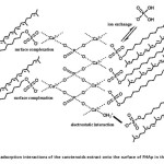 Fig. 6: The proposed adsorption interactions of the carotenoids extract onto the surface of FHAp in the presence of SDS