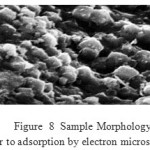 Figure  8  Sample Morphology Prior to adsorption by electron microscope