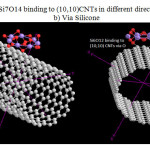 Fig 1: Si6O12 & Si7O14 binding to (10,10)CNTs in different direction  a)via Oxygen b) Via Silicone