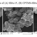 Fig. 5. The SEM images of (A) SBA-15, (B) CPTMS-SBA-15 and (C) THPP-SBA-15