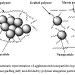 Picture 2 –Diagrammatic representation of agglomerated nanoparticles in polymeric matrix without polymer grafting (left) and divided by polymer elongation particles (right) [21]. 
