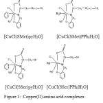 Figure 1:  Copper(II) amino acid complexes used as inhibitors in this study 