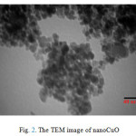 Fig. 2. The TEM image of nanoCuO