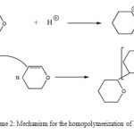 Scheme 2: Mechanism for the homopolymerization of DHP.
